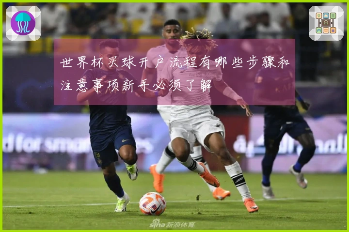 世界杯买球开户流程有哪些步骤和注意事项新手必须了解