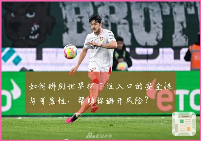 如何辨别世界杯下注入口的安全性与可靠性，帮助你避开风险？