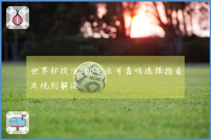 世界杯投注app合法可靠吗选择指南及规则解读